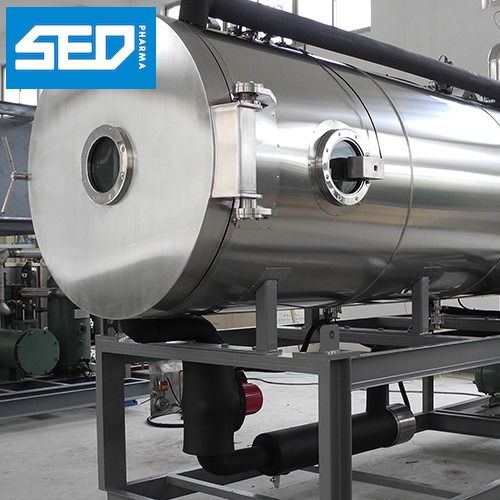 SED-10DG 100 Kgs Per Batch Industrial Lyophilisation Equipment High Efficiency For Vegetable / Fruits Drying