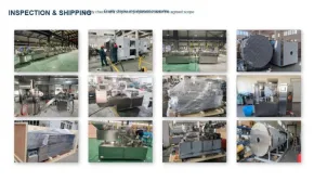 SED Pharma pre-shipment pharmaceutical equipment inspection