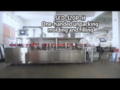 SED-120P-H Blister Packing Machine