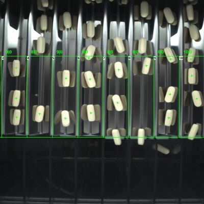 2 channels Automatic Tablet Visual Inspection Equipment Machine 2 KW