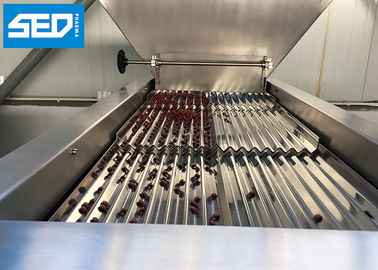 Electronic Soft Gelatin Capsule Counting Machine With Siemens Touch Screen