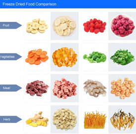 Square Meters Vacuum Lyophilization Freeze Drying Equipment With Total Weight 3500kg